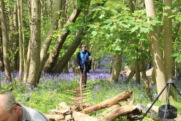 Person walking along a dry muddy path in a forest