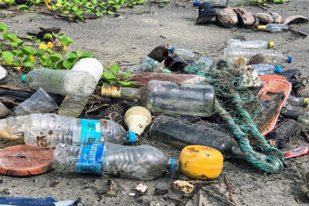 Collected plastic bottles gathered on the ground