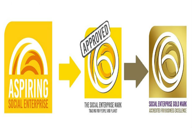 stages of the social enterprise mark award from aspiring to gold level