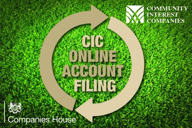 CIC accounts online filing picture